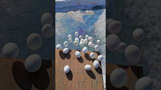 Download lagu 🎈Crushing Crunchy & Soft Things ! Breaking Glass Bottles🔥 #asmr #satisfying mp3 Download lagu 🎈Crushing Crunchy & Soft Things ! Breaking Glass Bottles🔥 #asmr #satisfying mp3