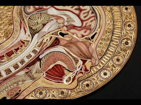 download lagu mp3 mp4 Lisa Nilsson Artist, download lagu Lisa Nilsson Artist gratis, unduh video klip Lisa Nilsson Artist