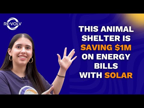 Lifeline Animal Project