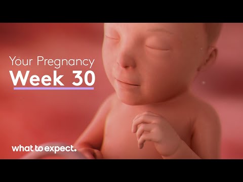 Mother-Baby developments this week (Week 30)