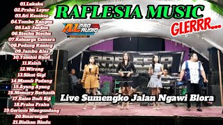 Download lagu FULL ALBUM//RAFLESIA MUSIC GLERR//LIVE SUMENGKO JLN BLORA NGAWI//A'L PRO AUDIO JEMBOROX  mp3