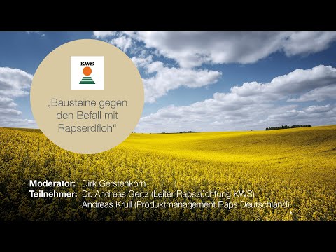 Bausteine gegen den Befall mit Rapserdfloh