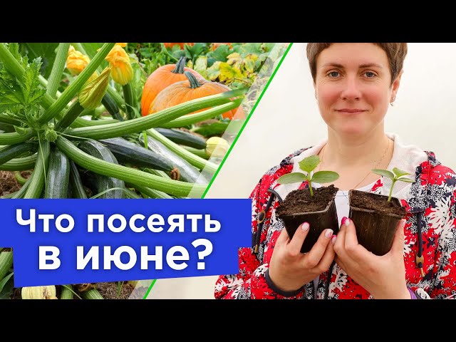СТОП! НЕ СЕЙТЕ В ИЮНЕ! Какие овощи не стоит сеять в июне, а какие еще успеют дать отличный урожай