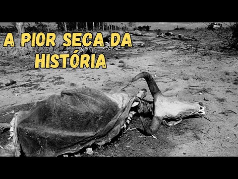A GRANDE SECA DO NORDESTE - O dia em que o Brasil secou