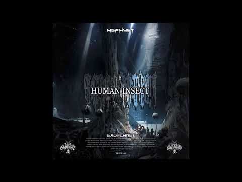 Human Insect - Rottinger