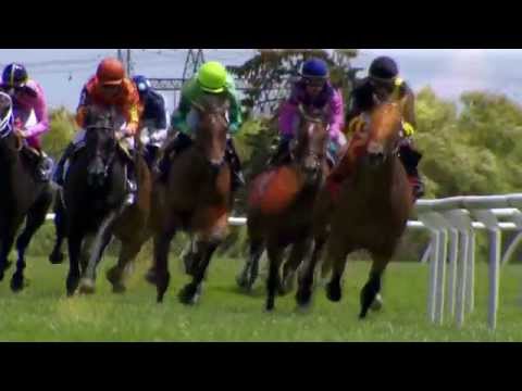 2015 Natalma Stakes is Wide-Open