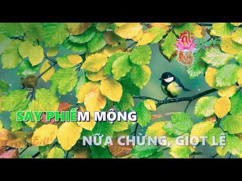 Những Giọt Lệ Hóa Đá