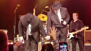 Blues Brothers - Soul Man (Live New Year&#39;s Eve 2018)