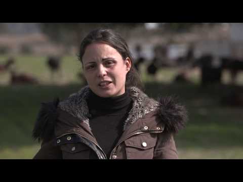 Fotograma del vídeo: Ruraltivity, la lanzadera de startups rurales