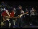 Albert Collins - Iceman (Live From Austin TX)