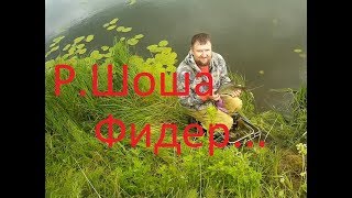 Река шоша платная рыбалка