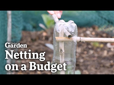 How to do Netting for your Garden on a Budget