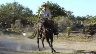 Los Labriegos de Zaragoza Villa Unión Coahuila ´´llorando a solas´´