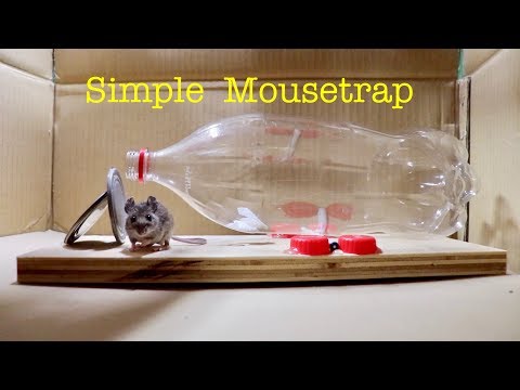 YouTube video about Effortlessly Make a Soda Bottle Trap and Keep Pests at Bay