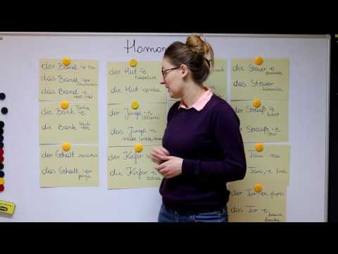 Gramatyka niemieckiego - Homonimy - wyrazy o takim samym brzmieniu, lecz odmiennym znaczeniu