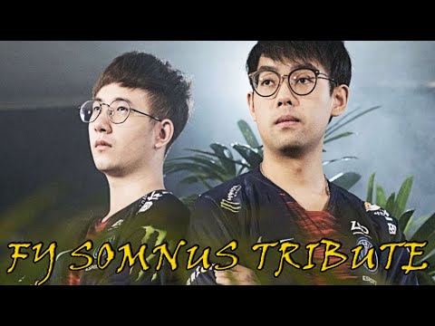 FY  AND  Somnus丶M. DOTA 2  TRIBUTE| DOTA 2 MICRO