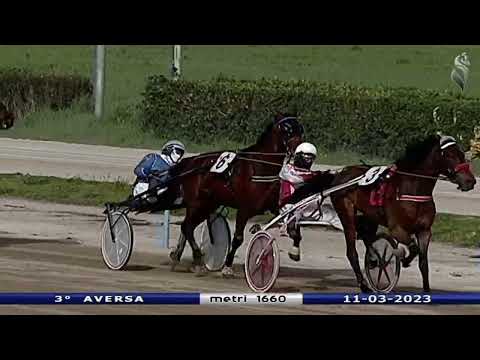 Aversa trotto 11 Marzo 2023 - 3° Corsa