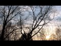 LGT - Kék asszony 