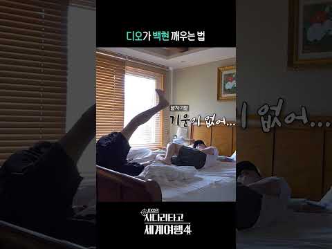 #백현 #디오 이 조합 찬성합니다❤️ [#엑사세4]