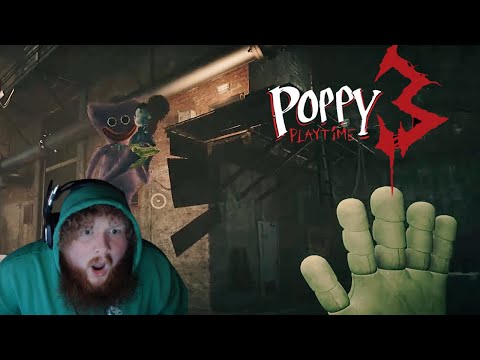 Poppy Playtime Chapter 3 [4 hours DON'T JUDGE ME]