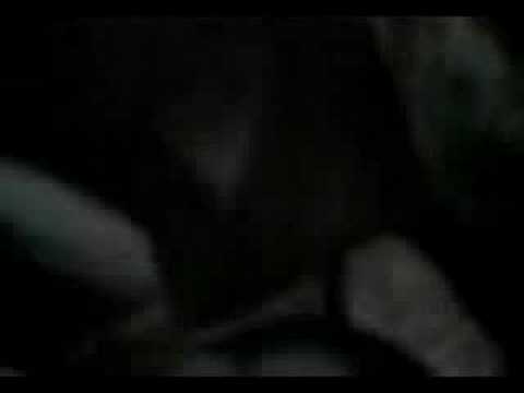 PRUEBA DE VIDEOS CHUSKOS