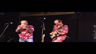 The Nighthawks-- Rollin' and Tumblin'