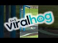 Hoppy the Corella Playing on the Stand-Up Seesaw || ViralHog
