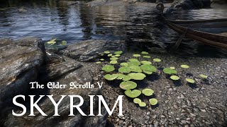 Skyrim Special Edition | 2019 | ENB | Ready for TES VI