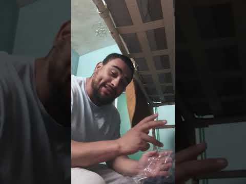 the album tour continues.