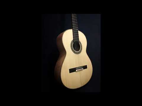 Benito Huipe Profesional Flamenco "Negra" Guitar 2023 - Nitrocellulose image 9