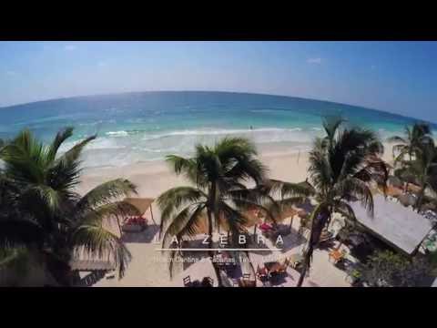 La Zebra - The Perfect Beach Escape