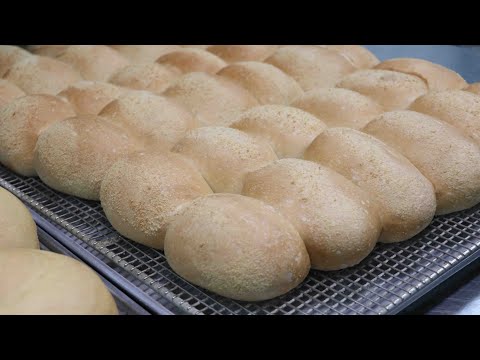 download lagu mp3 mp4 Filipino Bakery Toronto, download lagu Filipino Bakery Toronto gratis, unduh video klip Filipino Bakery Toronto