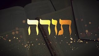 Shloime Dachs | Torah | Official Video | תורה - שלומי ודוד דקס