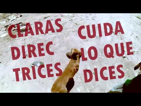 DIEGORILLAH - CLARAS DIRECTRICES (WLM)