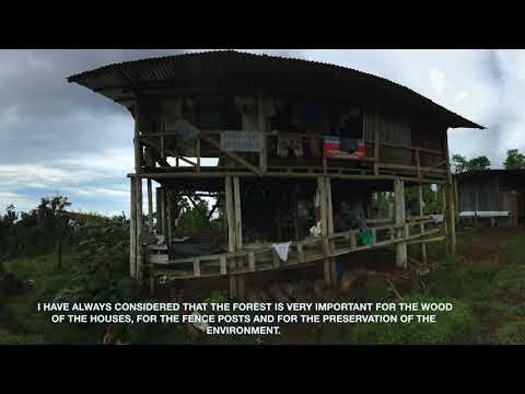 Help 30 persons and save 2025 hectares of forest