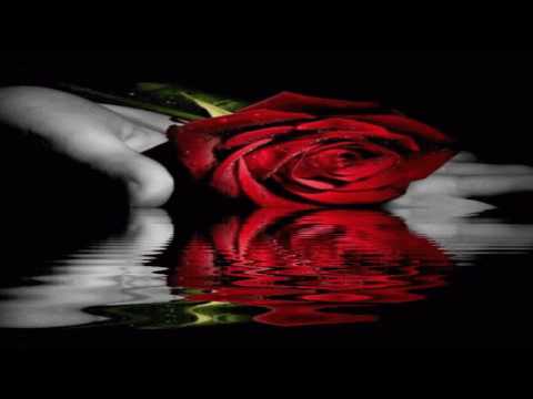 Johnny M5 - Give Me Your Love (Album Edit)