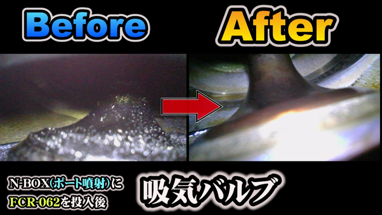 動画を見る