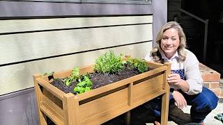 Best Raised Garden Bed for Herbs and Vegetables