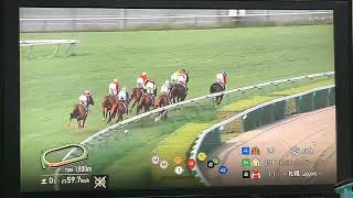 【競馬実況動画2026】第61回札幌2歳ステークス ショウナンガレオン（鮫島克駿）