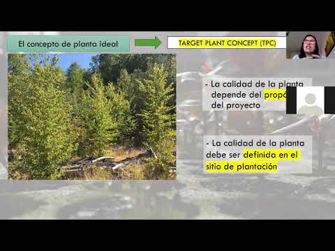 Manejo de viveros forestales P1