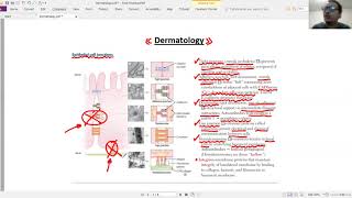 TA7 USMLE : DERMATOLOGY 1