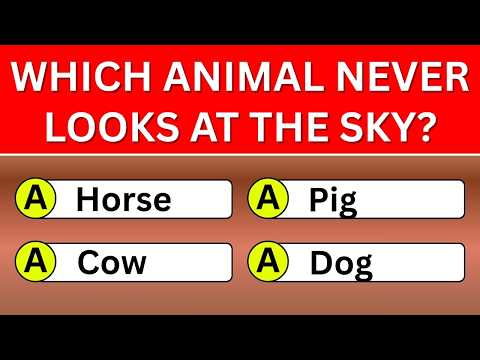 Can You Answer 30/50 Correctly? General Knowledge Brain Test 🧠 | Wisdom Daily