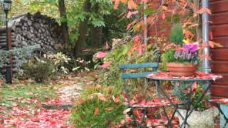 Françoise Hardy. Il est des choses.