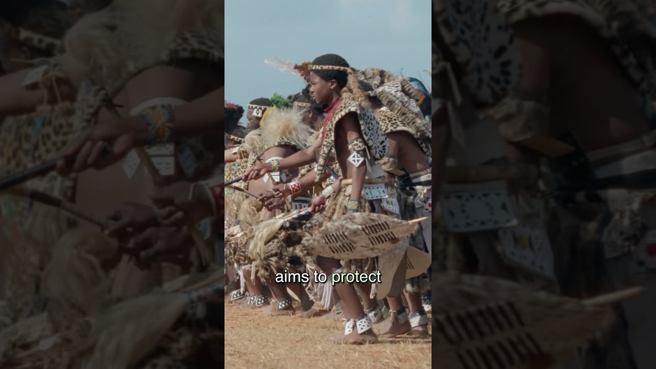Heritage Furs | Combining Culture and Wild Cat Conservation #wildlife #wildlifeconservation