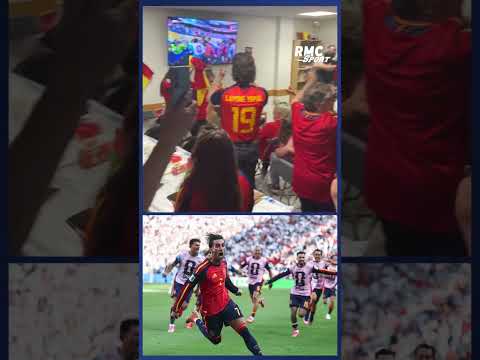 La furia des supporters espagnols lors du but de Torres