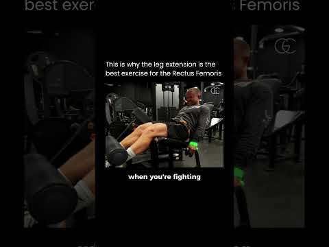 Jeff Nippard Explains The Perfect Leg Extension