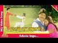 Adada Ingu Video Song Maya Bazar Tamil Movie Songs Ramki Urvasi Pyramid Music