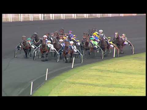 2005 CRITÉRIUM CONTINENTAL - LA COURSE - Nijinski Blue