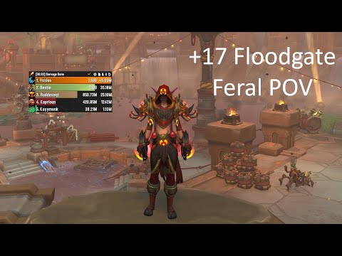 +17 Operation Floodgate Feral Druid POV | WoW TWW 11.2 Season 3 M+