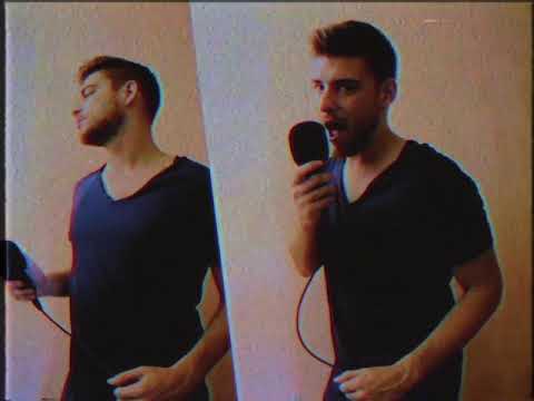 Mr. Flagio - Take a chance ( 1 minute cover )